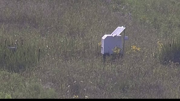 capture-4-23-08-03_17-46-22-67