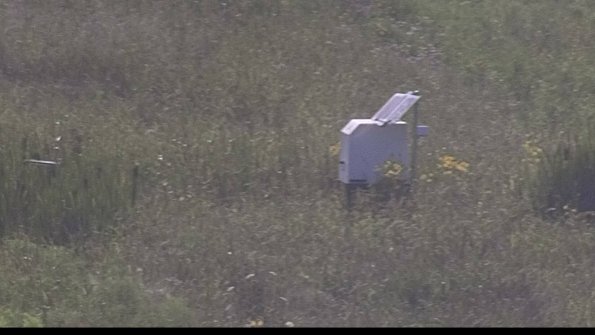 capture-4-23-08-03_18-23-12-65