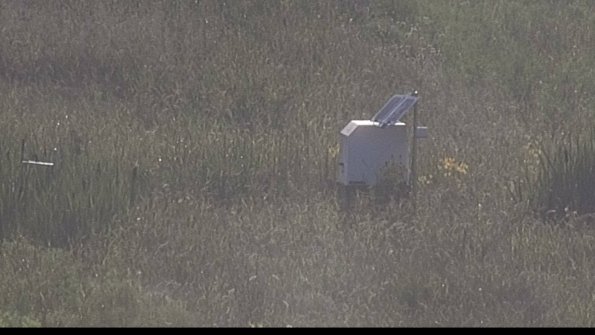 capture-4-23-08-03_19-02-13-84