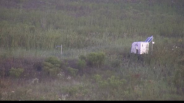 capture-5-23-08-03_07-13-12-55