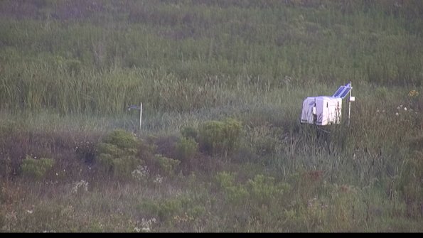 capture-5-23-08-03_07-19-43-31