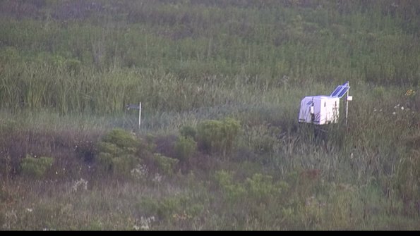 capture-5-23-08-03_07-21-52-44