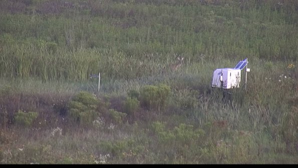 capture-5-23-08-03_07-26-12-40