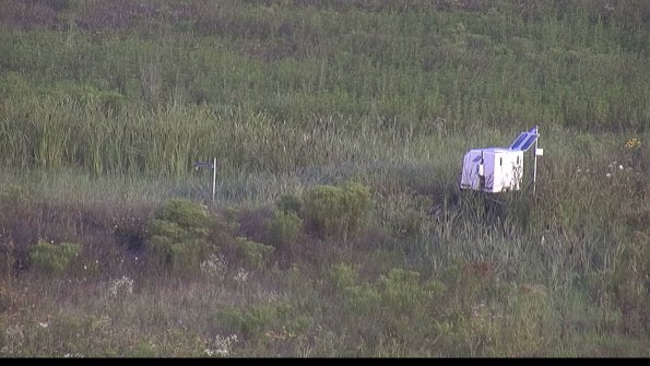 capture-5-23-08-03_07-37-02-42