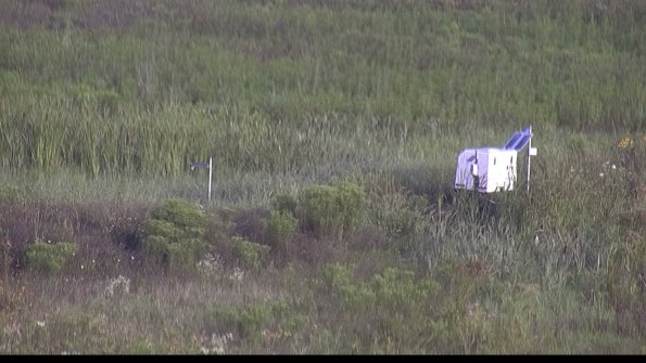 capture-5-23-08-03_08-00-52-46