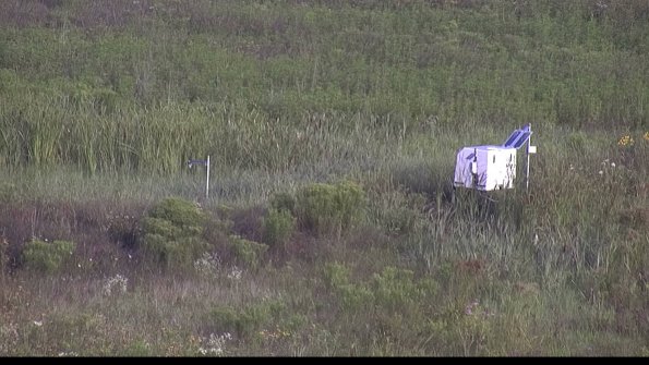 capture-5-23-08-03_08-11-43-31