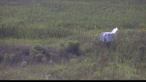 capture-5-23-08-03_17-37-52-56