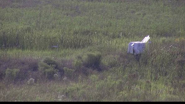 capture-5-23-08-03_17-55-12-33