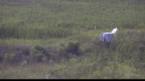 capture-5-23-08-03_17-59-32-53