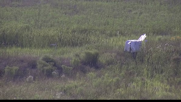 capture-5-23-08-03_18-03-52-49