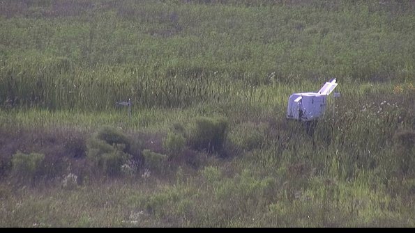 capture-5-23-08-03_18-08-12-42