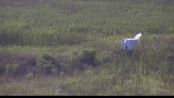 capture-5-23-08-03_18-12-32-54