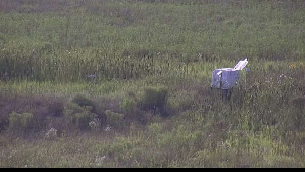 capture-5-23-08-03_18-19-03-07