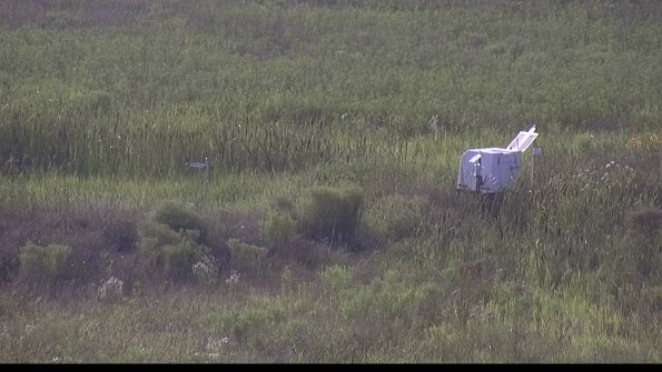 capture-5-23-08-03_18-21-13-03