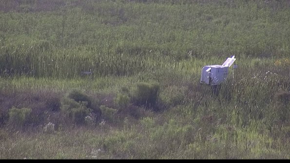 capture-5-23-08-03_18-23-23-00