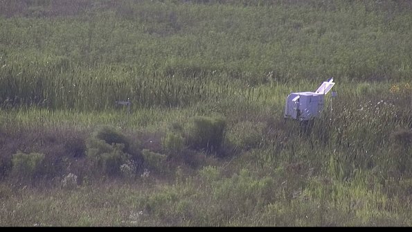 capture-5-23-08-03_18-29-52-96