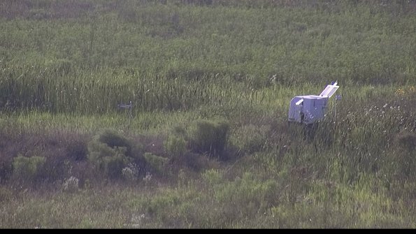 capture-5-23-08-03_18-38-33-11