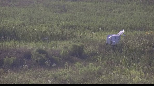 capture-5-23-08-03_19-08-52-84