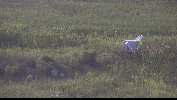 capture-5-23-08-03_19-15-23-09