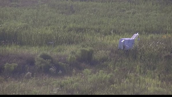 capture-5-23-08-03_19-17-33-03