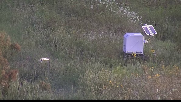 capture-6-23-08-03_07-35-02-46