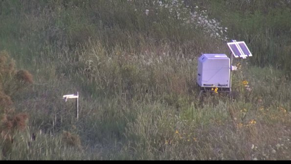 capture-6-23-08-03_07-43-42-42