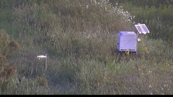 capture-6-23-08-03_07-56-41-44