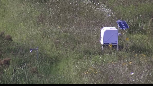 capture-6-23-08-03_17-51-01-55