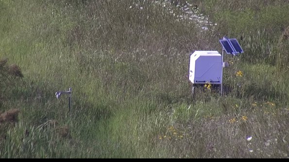 capture-6-23-08-03_17-53-11-58