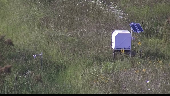 capture-6-23-08-03_17-59-41-50