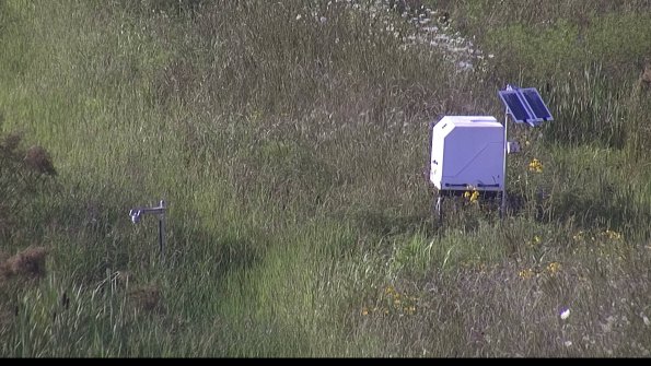 capture-6-23-08-03_18-30-02-40