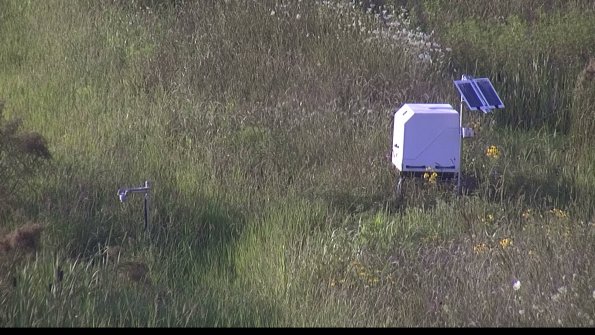 capture-6-23-08-03_19-24-12-26