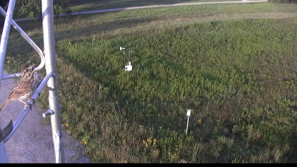 capture-1-23-08-04_07-28-52-26