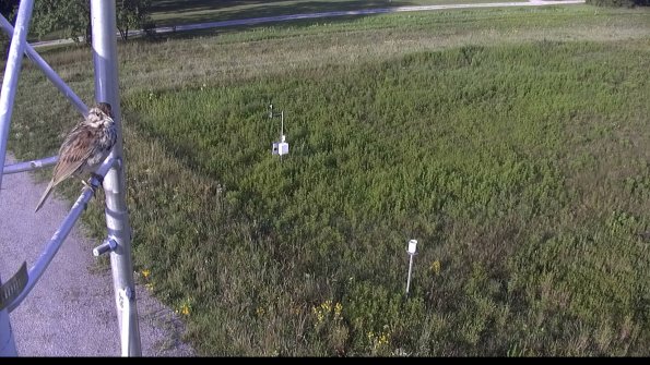 capture-1-23-08-04_08-14-22-77