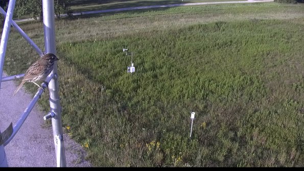 capture-1-23-08-04_08-16-31-96