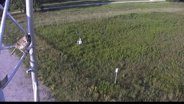 capture-1-23-08-04_08-18-43-09