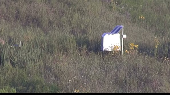 capture-4-23-08-04_07-18-34-37