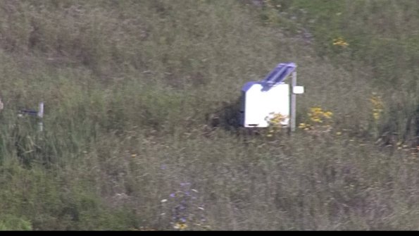 capture-4-23-08-04_08-04-04-31