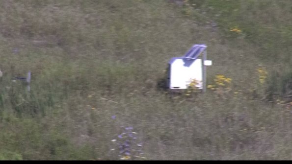 capture-4-23-08-04_08-38-44-33