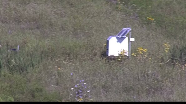 capture-4-23-08-04_08-51-44-45