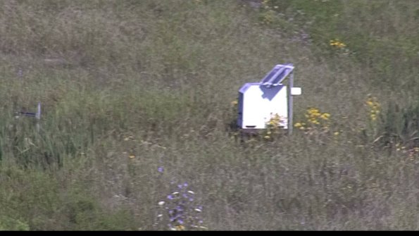 capture-4-23-08-04_08-58-13-81