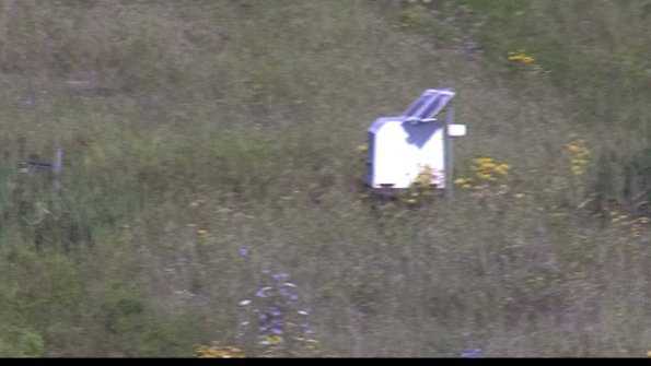 capture-4-23-08-04_09-15-35-02