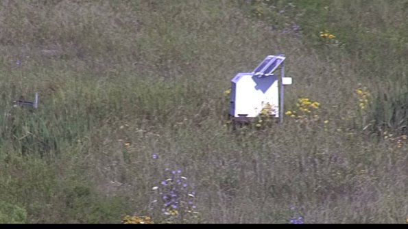 capture-4-23-08-04_09-17-45-12