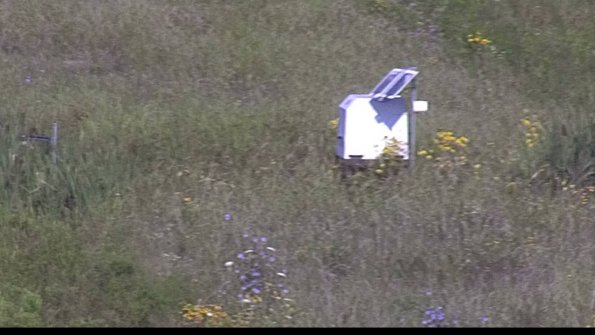 capture-4-23-08-04_09-37-15-09