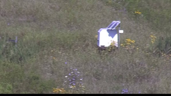 capture-4-23-08-04_09-39-24-00