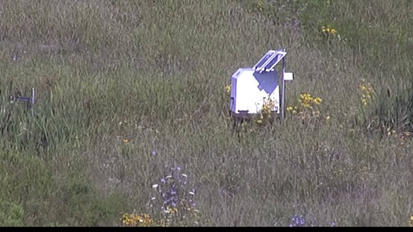 capture-4-23-08-04_09-54-35-20