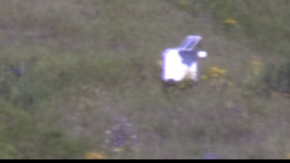 capture-4-23-08-04_09-56-44-59