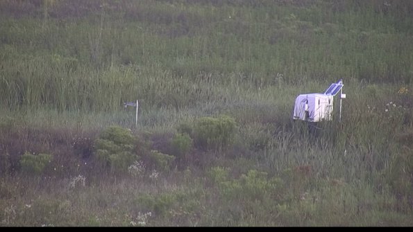 capture-5-23-08-04_07-07-53-36