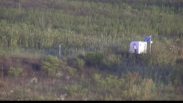 capture-5-23-08-04_07-18-43-71