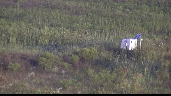 capture-5-23-08-04_07-20-53-57